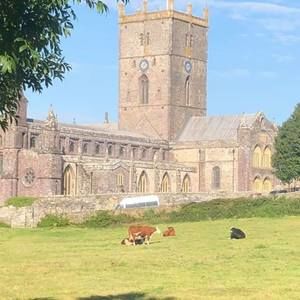 Meet your Posher, Wendy